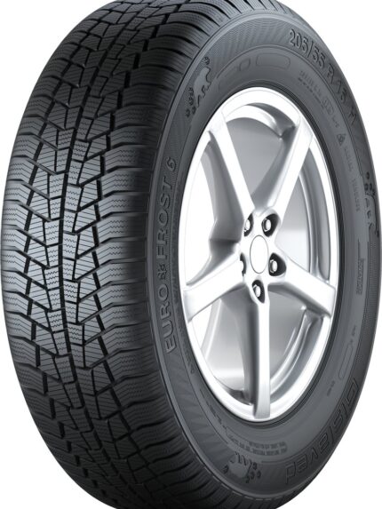 Anvelopa Gislaved Euro Frost 6 205/65 R15